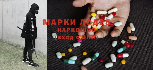 стафф Аркадак